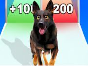 Spill Hundevolusjonsløp online