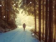 Spill Vinter skjulte stjerner  online