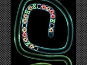 Spill TD neon shoot online