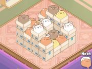 Spill Mart Puzzle Box Cat online