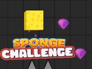 Spill Sponge Challenge online
