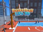 Spill Basketball Life 3D online