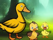 Spill Duck Family Reach Pond online