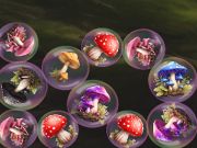 Spill Mergemushrooms: 2048! online