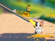 Spill Cat Challenge online