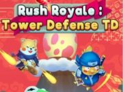 Spill Rush Royale Tower Defense TD  online