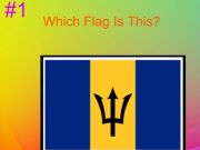 Spill 30S hard flagg quiz  online