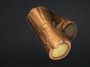 Spill Stonecraft  online