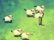 Spill SHEEP  online