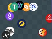Spill Crypto Detective Finder  online
