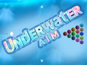 Spill Under vann AIM  online
