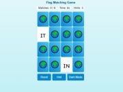 Spill Memory Match Flag Edition online