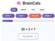 Spill Braincalc online