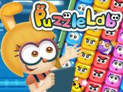 Spill Puzzle Lab online
