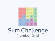 Spill Sum Challenge Number Grid online