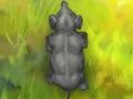 Spill Smart elefant  online