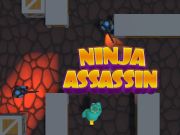 Spill Ninja Assassin online