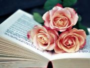 Spill Book of Blooms Jigsaw online