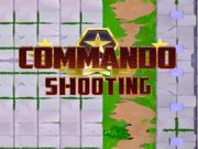 Spill Kommandoskyting online