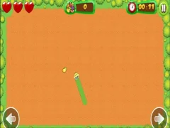 Spill Fruit Snake online