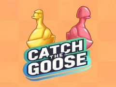Spill Catch The Goose online