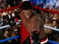 Spill Ultimate Boxing online