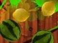 Spill Fruit Break online