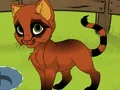 Spill My Kitten online