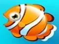 Spill Fish Resort online
