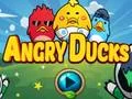 Spill Angry Ducks online