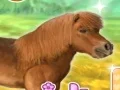 Spill My Dear Pony online