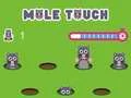 Spill Pole Touch online