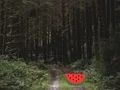 Spill Dense Forest Deer Escape online