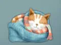 Spill Adorable Escape Find Cute Kitten online