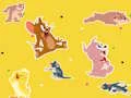 Spill The Tom and Jerry Show Find it! online