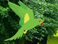 Spill Parrot Find The Nest online
