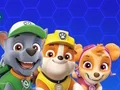 Spill Paw Patrol online