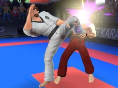 Spill Karate Fighter online