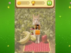 Spill Farm Cat Memory Match online