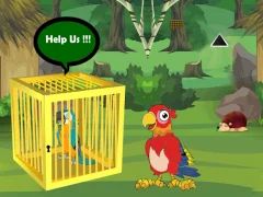 Spill Release Trapped Macaw Buddy online