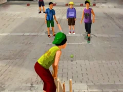 Spill Gully Cricket online