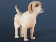 Spill IDLE Pet online