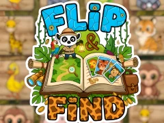 Spill Flip & Find online