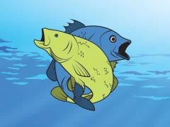 Spill Friendly Fish Coloring online