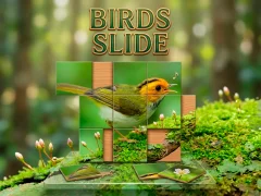 Spill Birds Slide online