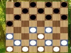 Spill Classic Checkers: Forest online