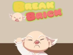 Spill Break Brick online