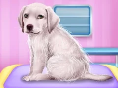 Spill Labrador at the doctor salon online