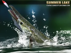Spill Summer Lake 1.5 online