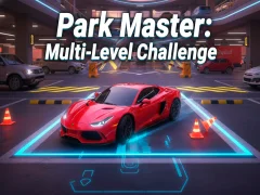 Spill Park Master: Multi-Level Challenge online